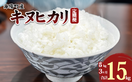 令和2年度 徳島県産 新米キヌヒカリ 20kg 精米食品/飲料/酒