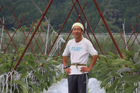 先行予約 なす 約25本 茄子 ナス 産地直送 天敵栽培 【2025年7月以降順次発送】