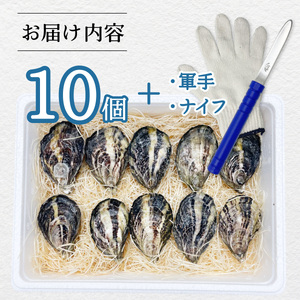 あまべ牡蠣 10個 牡蠣 シングルシード 生食用 殻付き かき カキ