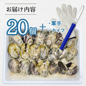 あまべ牡蠣 20個 牡蠣 シングルシード 生食用 殻付き かき カキ オイスター 生ガキ 生牡蠣 生がき 生かき ギフト 貝 旨味