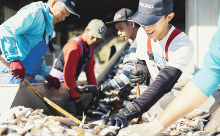 【先行予約】 産地直送！ 超特大！海陽町よりブリまるごと１本をお届け！ ぶり 鰤 海鮮 新鮮 魚 国産 ぶりしゃぶ 【2025年3月中旬～4月にお届け】