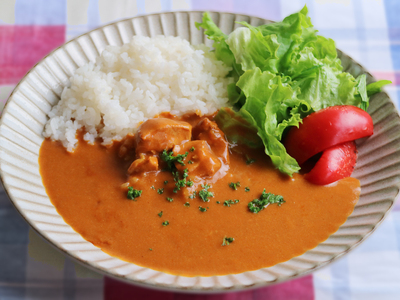 阿波尾鶏 バターチキンカレー 10人前 180g×10パック 国産 鶏肉 地鶏 あわおどり むね肉 カレー AWAODORI LAB