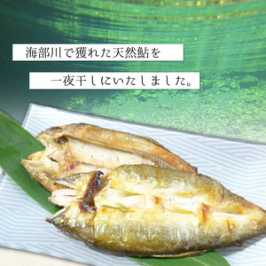 天然波乗り鮎の一夜干し 約400g 6～15尾 干物 一夜干し 鮎 天然 熟成 あゆ アユ 天然鮎 清流 海部川 川魚 簡単調理 冷凍
