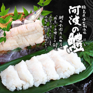 鱧 天ぷら 6個 × 2袋 セット 冷凍 電子レンジ 調理 和食 おかず 徳島県 ハモ 揚げ物 魚介 料理 簡単 かんたん 