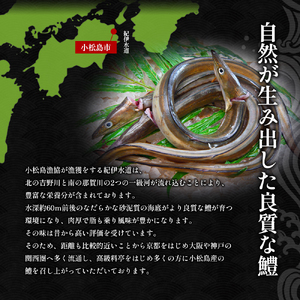 鱧 天ぷら 6個 × 2袋 セット 冷凍 電子レンジ 調理 和食 おかず 徳島県 ハモ 揚げ物 魚介 料理 簡単 かんたん 