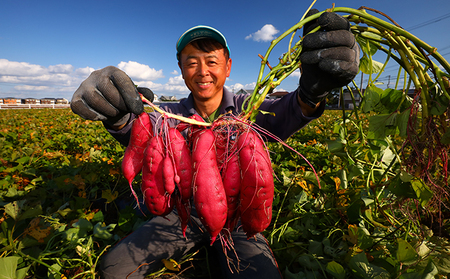 さつまいも(なると金時)松茂町産3kg　徳島 鳴門金時 芋 秋 旬 サツマイモ 正月 おせち 贈答用 野菜 