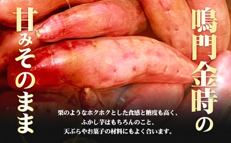 鳴門金時干し芋・チップスセット お菓子 和菓子 おやつ サツマイモ 無添加 徳島産 秋の味覚 お土産 ギフト 