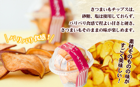 鳴門金時干し芋・チップスセット お菓子 和菓子 おやつ サツマイモ 無添加 徳島産 秋の味覚 お土産 ギフト 