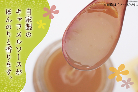 菓子 キャラメル むしどら 12入箱 [春藤製菓舗 徳島県 北島町 29ax0004]