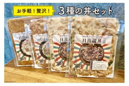 冷凍 丼 3種 4パック セット [日出蔵 徳島県 北島町 29ar0005] カレー まかない 時短 手軽 湯煎 すぐ食べられる