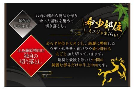 牛肉 切り落とし 国産 阿波黒牛 赤身 牛上中肉 ヘルシータイプ 500g [北島藤原精肉店 徳島県 北島町 29al0031]