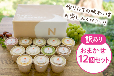 アイス 訳あり 12個 セット 詰め合わせ [ナチューラ 徳島県 北島町 29am0010]