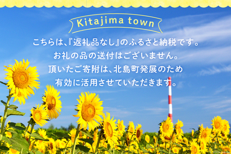 【返礼品なし】徳島県北島町への応援寄附 1口 5,000円 [北島町役場 徳島県 北島町 29ba0003]