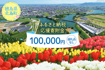 【返礼品なし】徳島県北島町への応援寄附 1口 100,000円 [北島町役場 徳島県 北島町 29ba0001]