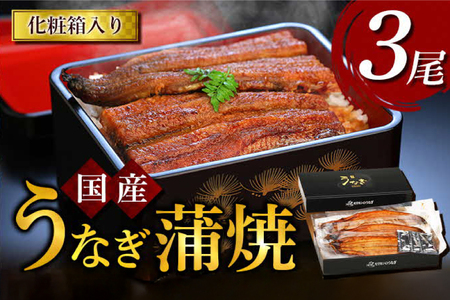 うなぎ 国産 うなぎ蒲焼き 3尾 [モリカン 徳島県 北島町 29bh0002]