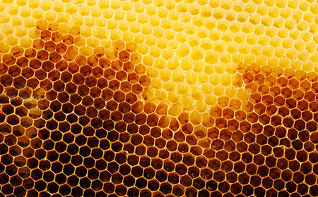 徳島県藍住町産純粋はちみつ 1200g×2個セット(箱入り)【1133281】