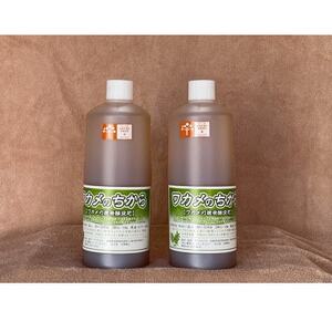 ワカメのちから　10L箱_雑貨   _【1495820】