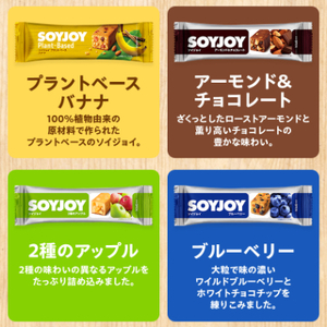 SOYJOY　18本セット(黒ゴマ・チョコ・アップル・ブルーベリー・バナナ・ベイクドチーズ)_菓子・スイーツ 洋菓子  _【1614184】