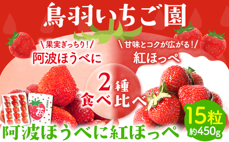 ＜ 先行予約 ＞いちご 苺 イチゴ 2種 食べ比べ お試し 15粒 約450g 鳥羽いちご園 阿波ほうべに 紅ほっぺ 《1月上旬-3月下旬頃発送予定》｜いちご苺イチゴ