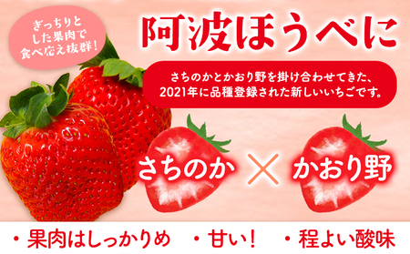 ＜ 先行予約 ＞いちご 苺 イチゴ 2種 食べ比べ お試し 15粒 約450g 鳥羽いちご園 阿波ほうべに 紅ほっぺ 《1月上旬-3月下旬頃発送予定》｜いちご苺イチゴ