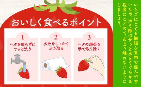 いちご 苺 イチゴ 2種 食べ比べ お試し 15粒 約450g 鳥羽いちご園 阿波