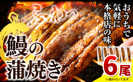 うなぎ 手焼きうなぎ 6尾《30日以内に出荷予定(土日祝除く)》徳島県 上板町 うなぎの蒲焼 蒲焼き ウナギ 鰻 送料無料｜うなぎの蒲焼 鰻の蒲焼き ウナギの蒲焼き 蒲焼き 蒲焼 徳島県 上板町 ウナギ 鰻うなぎの蒲焼き 鰻の蒲焼き ウナギ 鰻 うなぎの蒲焼き 鰻の蒲焼き ウナギ 鰻 うなぎの蒲焼き 鰻の蒲焼き ウナギ 鰻 うなぎの蒲焼き 鰻の蒲焼き ウナギ 鰻 うなぎの蒲焼き 鰻の蒲焼き ウナギ 鰻 うなぎの蒲焼き 鰻の蒲焼き ウナギ 鰻 うなぎの蒲焼き 鰻の蒲焼き ウナギ 鰻 うなぎの蒲焼き 鰻の蒲焼き ウナギ 鰻 うなぎの蒲焼き 鰻の蒲焼き ウナギ 鰻 うなぎの蒲焼き 鰻の蒲焼き ウナギ 鰻 うなぎの蒲焼き 鰻の蒲焼き ウナギ 鰻 うなぎの蒲焼き 鰻の蒲焼き ウナギ 鰻 うなぎの蒲焼き 鰻の蒲焼き ウナギ 鰻 うなぎの蒲焼き 鰻の蒲焼き ウナギ 鰻 うなぎの蒲焼き 鰻の蒲焼き ウナギ 鰻 うなぎの蒲焼き 鰻の蒲焼き ウナギ 鰻 うなぎの蒲焼き 鰻の蒲焼き ウナギ 鰻 うなぎの蒲焼き 鰻の蒲焼き ウナギ 鰻 うなぎの蒲焼き 鰻の蒲焼き ウナギ 鰻 うなぎの蒲焼き 鰻の蒲焼き ウナギ 鰻 うなぎの蒲焼き 鰻の蒲焼き ウナギ 鰻 うなぎの蒲焼き 鰻の蒲焼き ウナギ 鰻 うなぎの蒲焼き 鰻の蒲焼き ウナギ 鰻 うなぎの蒲焼き 鰻の蒲焼き ウナギ 鰻 うなぎの蒲焼き 鰻の蒲焼き ウナギ 鰻 うなぎの蒲焼き 鰻の蒲焼き ウナギ 鰻 うなぎの蒲焼き 鰻の蒲焼き ウナギ 鰻 うなぎの蒲焼き 鰻の蒲焼き ウナギ 鰻 うなぎの蒲焼き 鰻の蒲焼き ウナギ 鰻 うなぎの蒲焼き 鰻の蒲焼き ウナギ 鰻 うなぎの蒲焼き 鰻の蒲焼き ウナギ 鰻 うなぎの蒲焼き 鰻の蒲焼き ウナギ 鰻 うなぎの蒲焼き 鰻の蒲焼き ウナギ 鰻 うなぎの蒲焼き 鰻の蒲焼き ウナギ 鰻 うなぎの蒲焼き 鰻の蒲焼き ウナギ 鰻 うなぎの蒲焼き 鰻の蒲焼き ウナギ 鰻 うなぎの蒲焼き 鰻の蒲焼き ウナギ 鰻 うなぎの蒲焼き 鰻の蒲焼き ウナギ 鰻 うなぎ うなぎの蒲焼き うなぎ うなぎの蒲焼き うなぎ うなぎの蒲焼き うなぎ うなぎの蒲焼き うなぎ うなぎの蒲焼き うなぎ うなぎの蒲焼き うなぎ うなぎの蒲焼き うなぎ うなぎの蒲焼き 