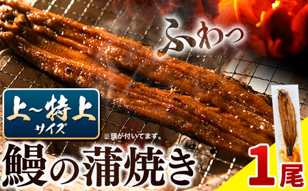 鰻の蒲焼き お試し1尾《30日以内に出荷予定(土日祝除く)》