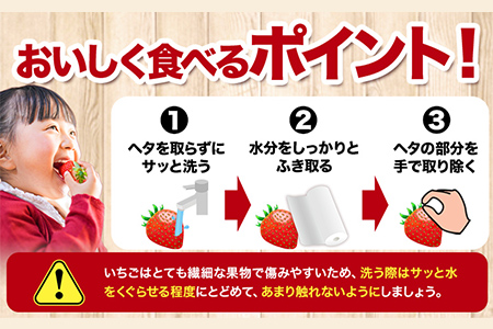 いちご イチゴ 苺 紅ほっぺ 500g (9-12粒) 木村農園《1月上旬-3月中旬頃出荷》｜いちご苺イチゴ