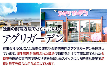 阿波の金時豚ミートソース 4個セット アグリガーデン 《30日以内出荷予定(土日祝除く)》｜ 加工食品 総菜 レトルト