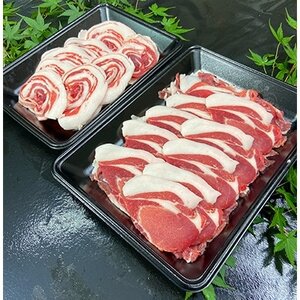 徳島県産【ぼたん鍋、しゃぶしゃぶ用】約600g【配送不可地域:離島】【1095480】