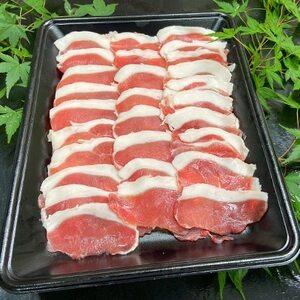 徳島県産【ぼたん鍋、しゃぶしゃぶ用】約600g【配送不可地域:離島】【1095480】