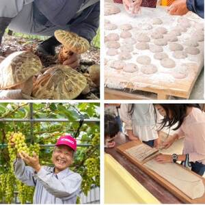 【体験型昼食ランチ4名様】農家レストラン(ジビエフルコース)と西阿波体験が楽しめます　【1591119】