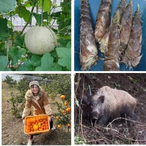 【一泊二日2名様】農家レストラン　民宿うり坊(ジビエフルコース)と半日体験つき　ペア宿泊【1591195】