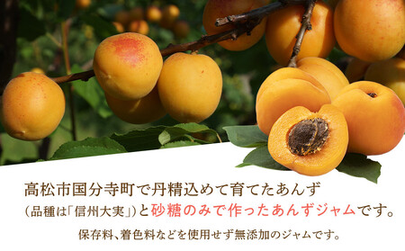 あんずジャム 1個