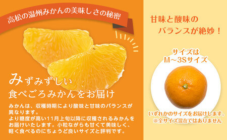 【先行予約】瀬戸内温州みかん　M～3Sサイズ　約2.5kg【2026年10月上旬～2027年1月下旬配送予定】