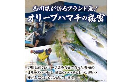 オリーブハマチ(養殖) 皮引きロイン