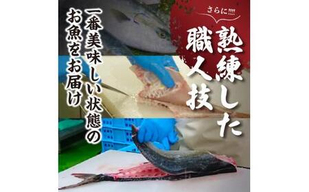 オリーブハマチ(養殖) 皮引きロイン