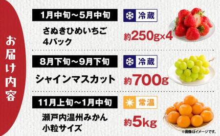 【3回お届け】高松市自慢のフルーツ定期便【D】