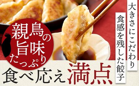 親どり専門店が作る親鳥餃子（50個）