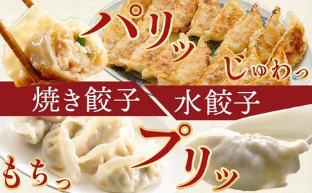 親どり専門店が作る親鳥餃子（50個）