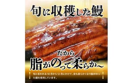 【お歳暮ギフト】源内うなぎ(3尾)