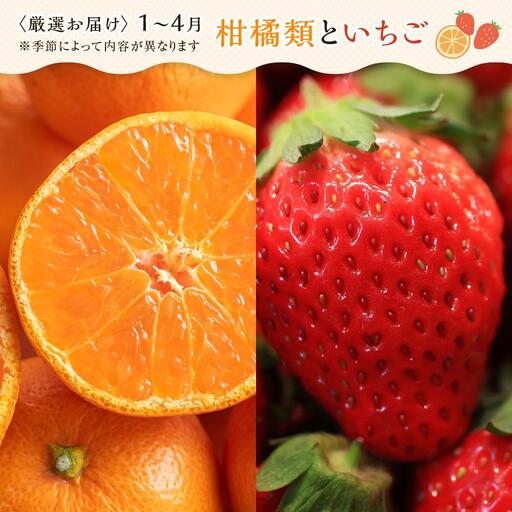 【12ヶ月連続定期便】 創業130余年！老舗果物店の厳選フルーツ詰合せ♪大満足セット（5～8品種） | フルーツ