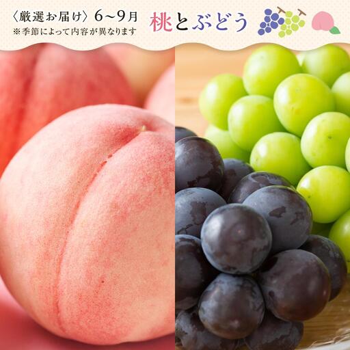 【12ヶ月連続定期便】 創業130余年！老舗果物店の厳選フルーツ詰合せ♪大満足セット（5～8品種） | フルーツ