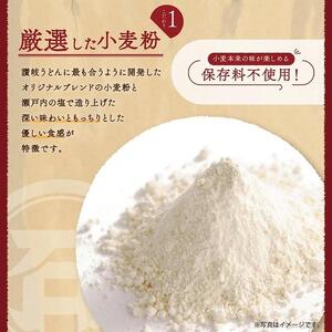 半生讃岐石丸うどん6人前(めんつゆ付き)麺300g×2袋