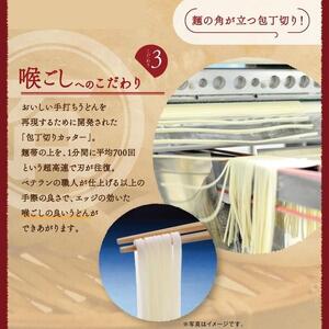 半生讃岐石丸うどん6人前(めんつゆ付き)麺300g×2袋