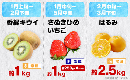 【12回毎月お届け】高松市自慢のフルーツ定期便【L】