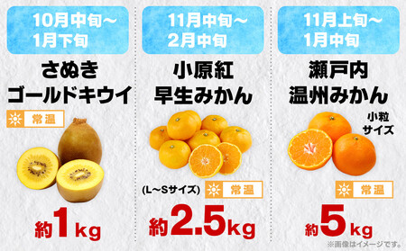 【12回毎月お届け】高松市自慢のフルーツ定期便【L】