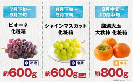 【ALL化粧箱】【12回毎月お届け】高松市自慢のフルーツ定期便【M】