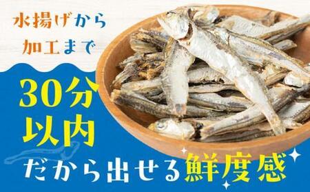 伊吹いりこの美味しい小魚シリーズ ギフトセット ~厳選6種~
