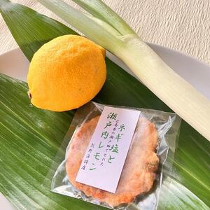 大人の天ぷら詰め合わせ(10種類 計17枚)